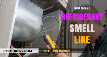 Unveiling the Distinct Odor of C Refrigerant: What to Expect