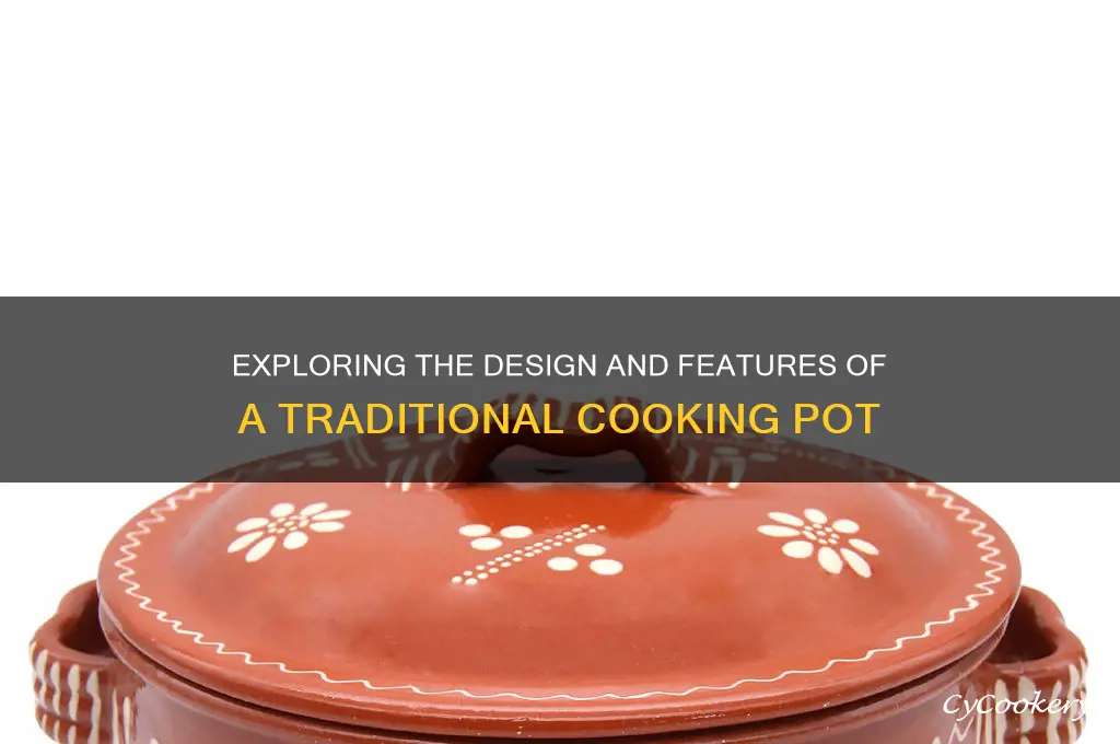 what does a cooking pot look like