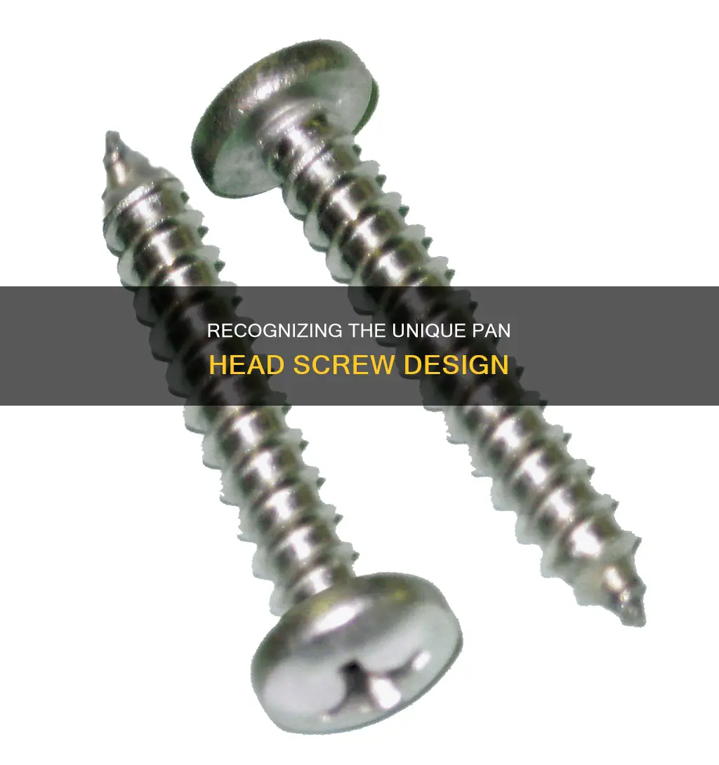 what does a pan head screw look like