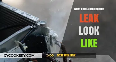 Identifying Signs of a Refrigerant Leak: What to Look For