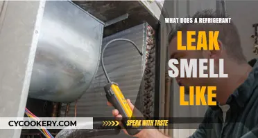 Detecting Refrigerant Leaks: Identifying the Unique Odor of a Leak