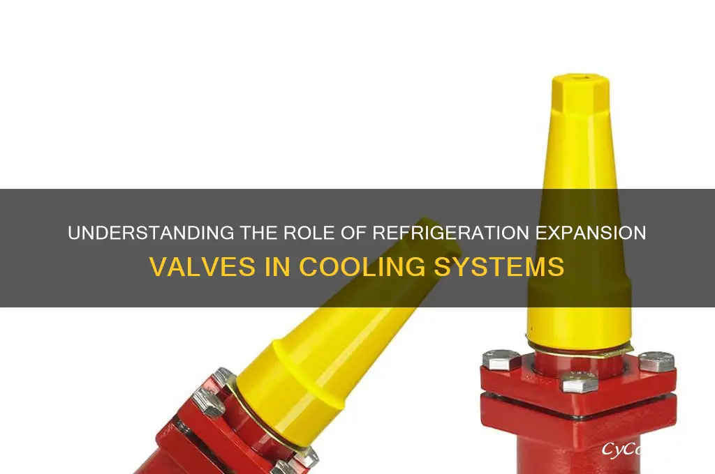 what does a refrigeration expansion valve do