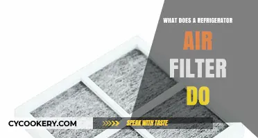 Understanding the Role of a Refrigerator Air Filter in Food Preservation