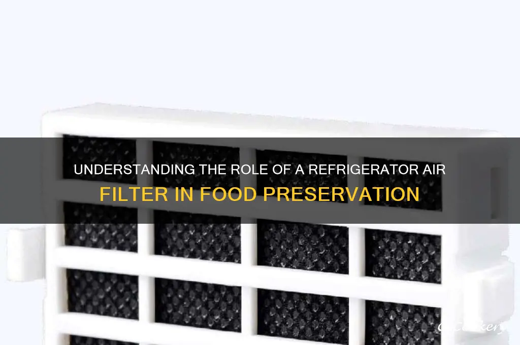 what does a refrigerator air filter do