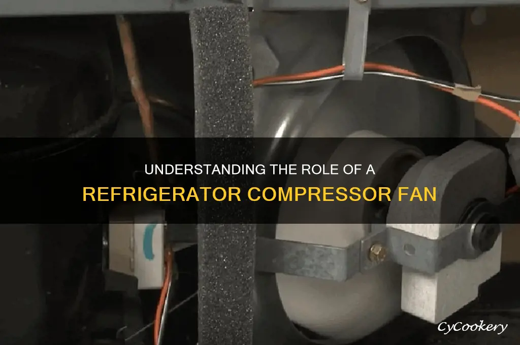 what does a refrigerator compressor fan do