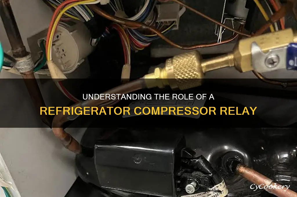 what does a refrigerator compressor relay do