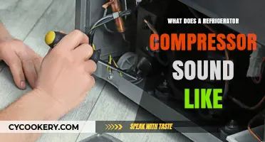 Understanding the Normal Sounds of a Refrigerator Compressor