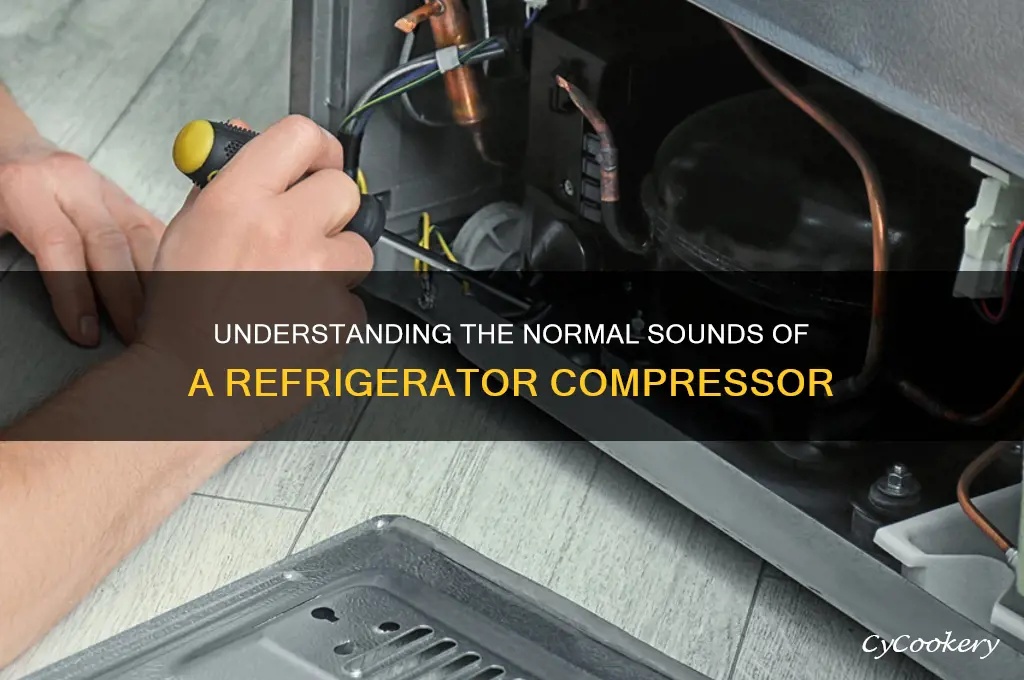 what does a refrigerator compressor sound like