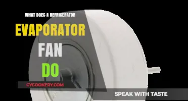 Understanding the Role of a Refrigerator Evaporator Fan