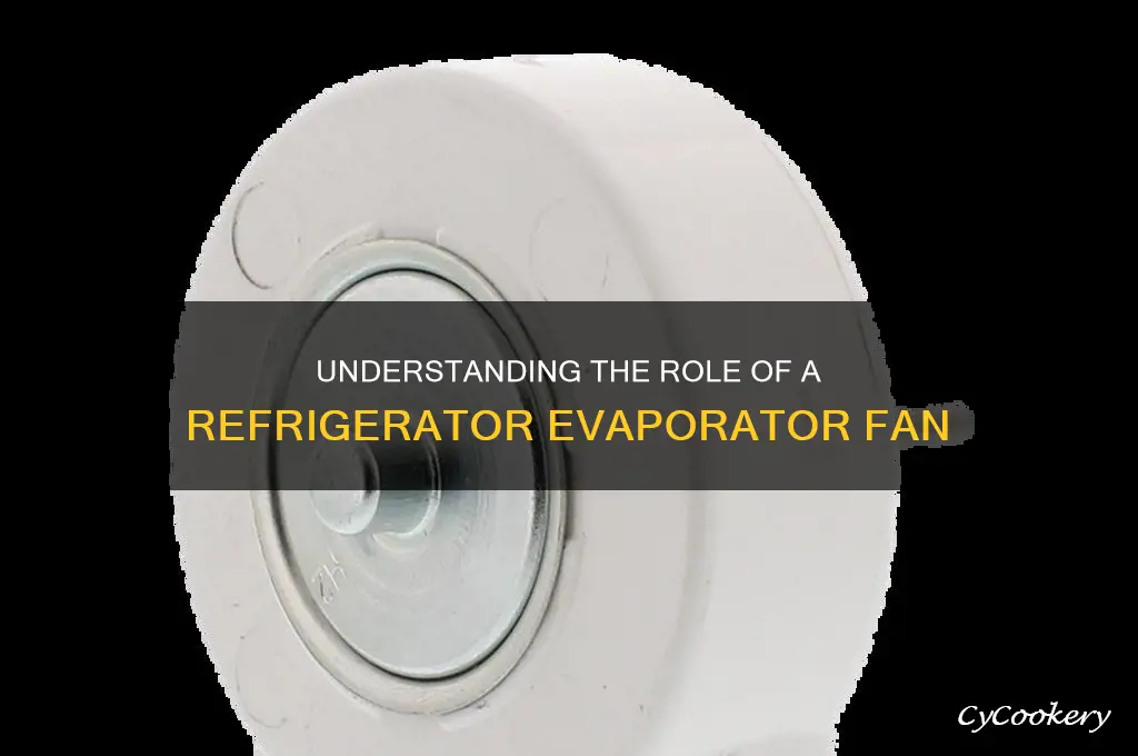 what does a refrigerator evaporator fan do