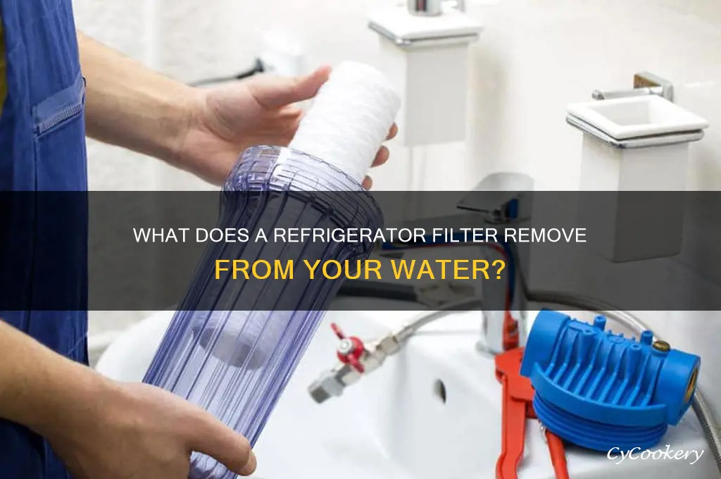 what does a refrigerator filter filter out