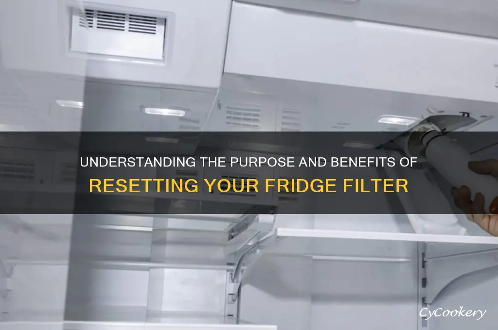 what does a refrigerator filter reset do