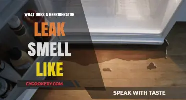 Identifying the Pungent Odor of a Refrigerator Leak: What to Expect