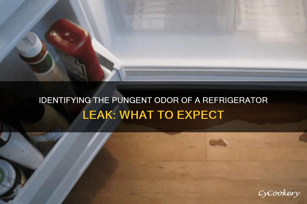 what does a refrigerator leak smell like