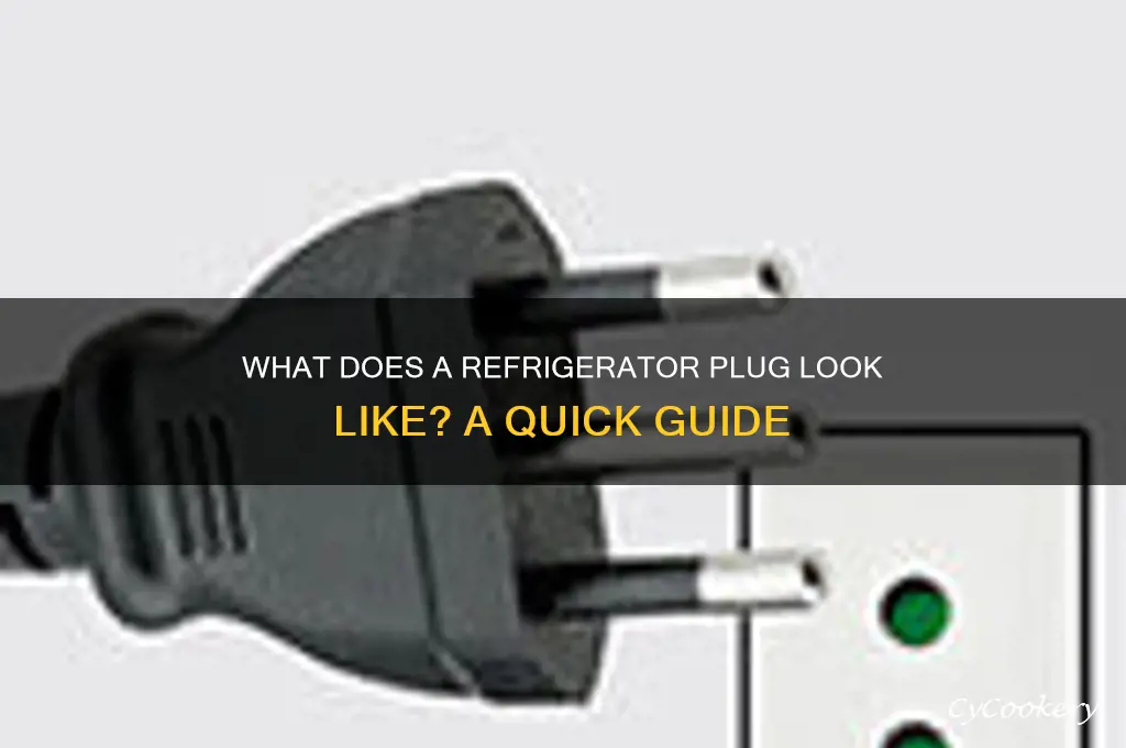 what does a refrigerator plug look like