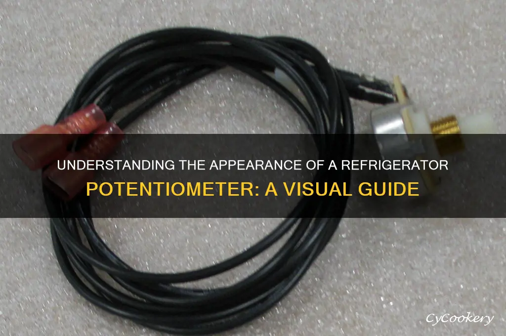 what does a refrigerator potentiometer look like