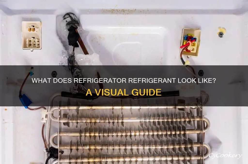 what does a refrigerator refrigerant look like