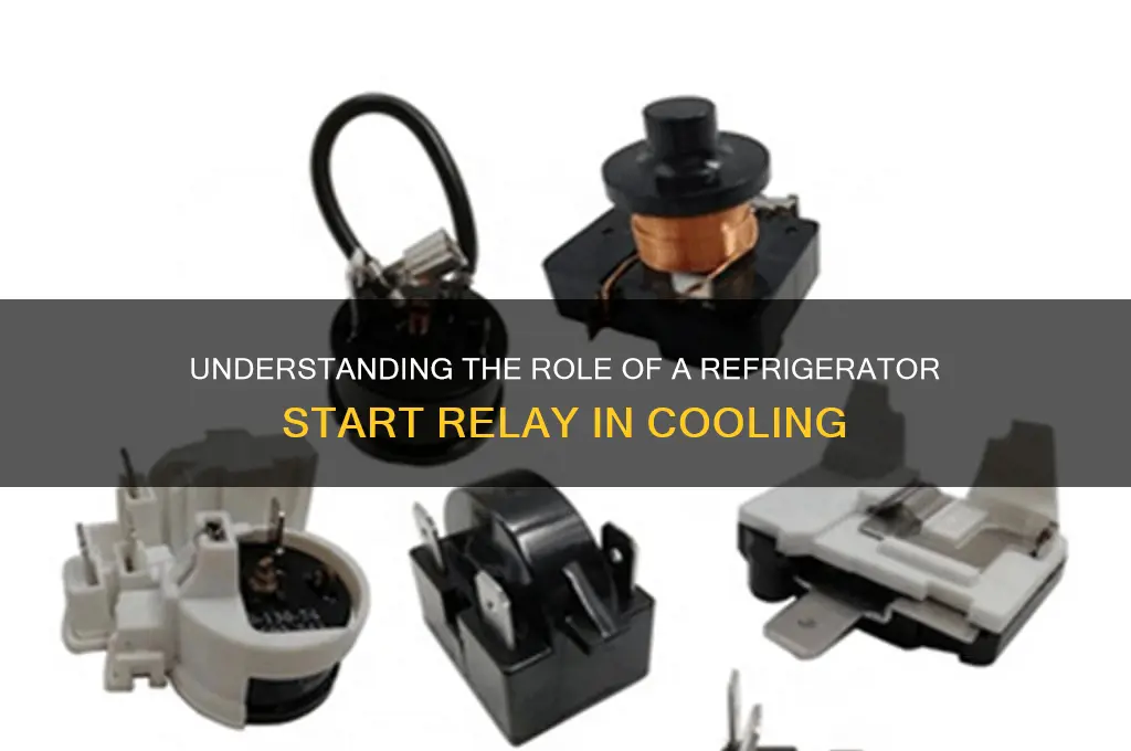 what does a refrigerator start relay do