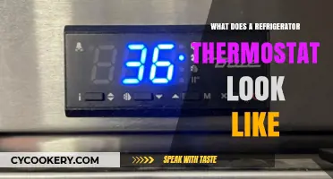 What Does a Refrigerator Thermostat Look Like? A Visual Guide