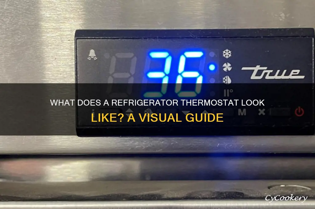 what does a refrigerator thermostat look like