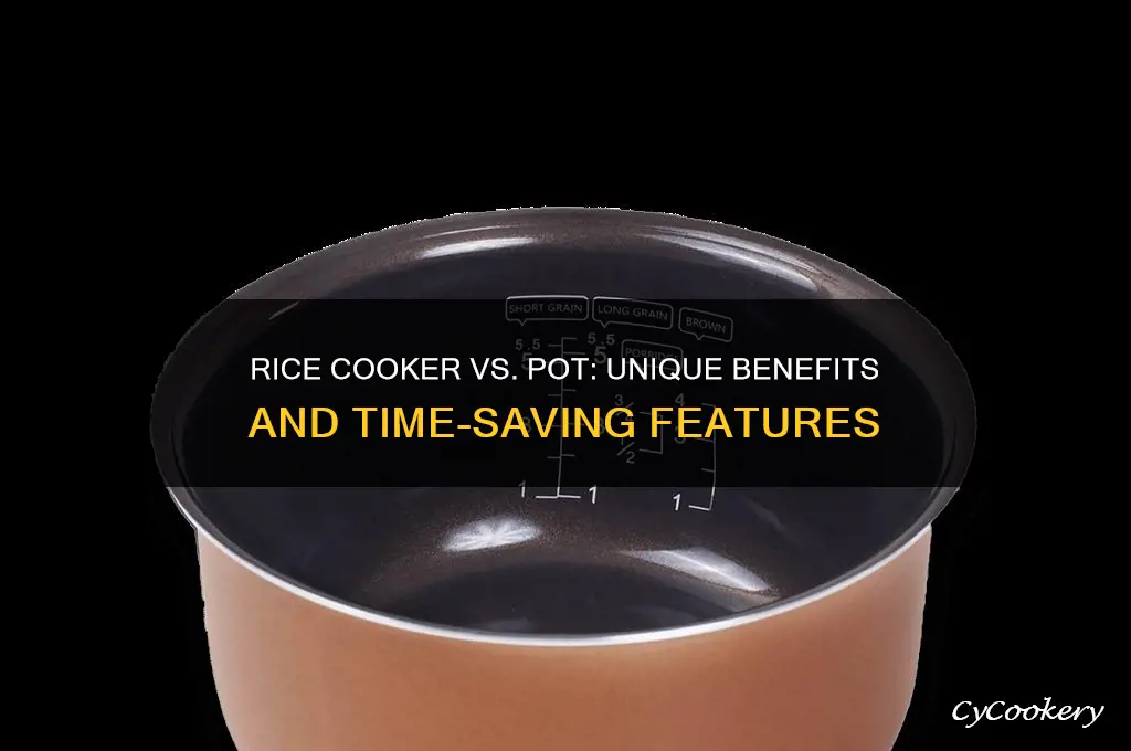 what does a rice cooker do that a pot wont