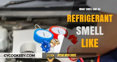 What Does Car AC Refrigerant Smell Like? A Quick Guide