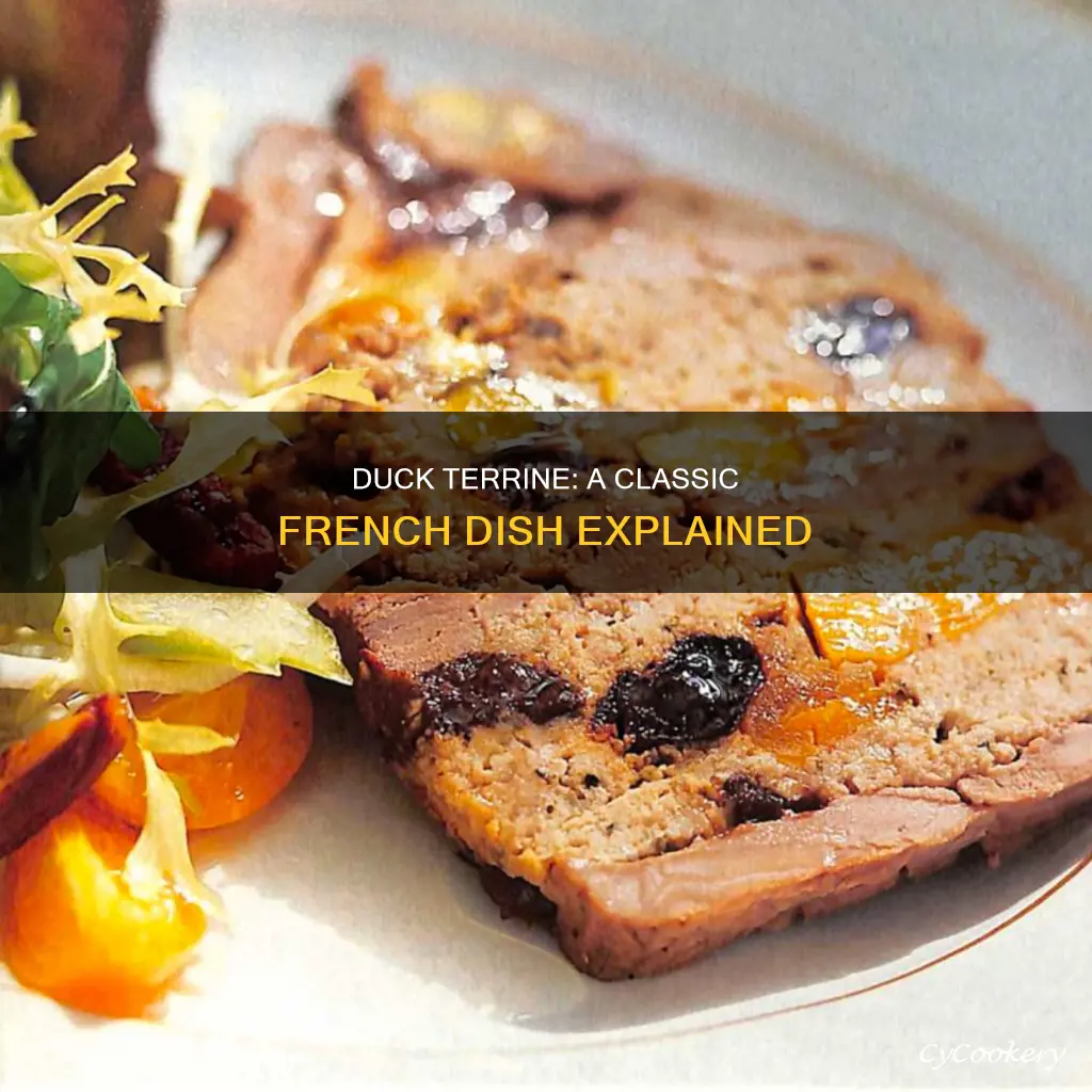 what does duck terrine mean