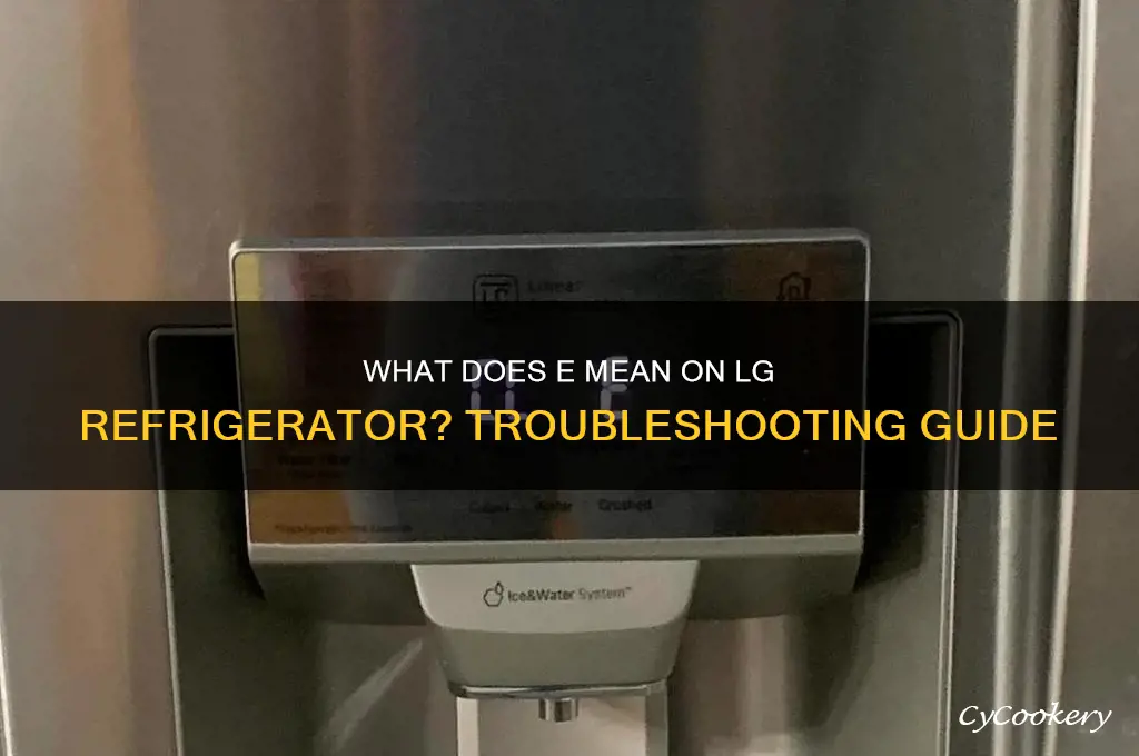 what does e mean on lg refrigerator