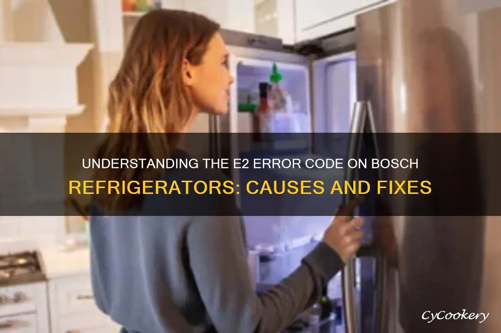 what does e2 mean on bosch refrigerator
