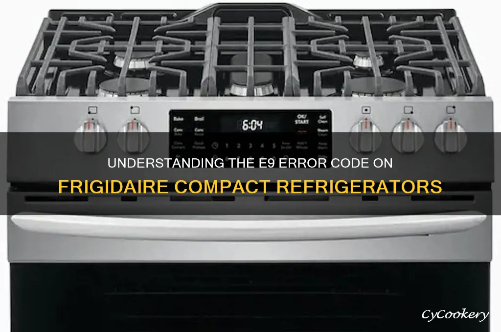 what does e9 mean on frigidaire compact refrigerator mean