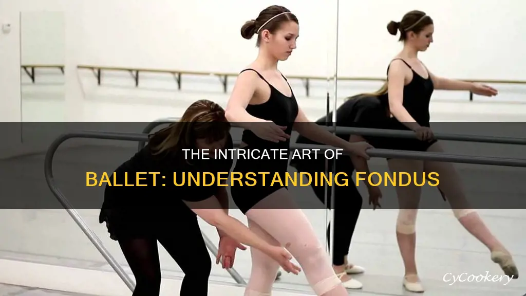 what does fondu mean in ballet