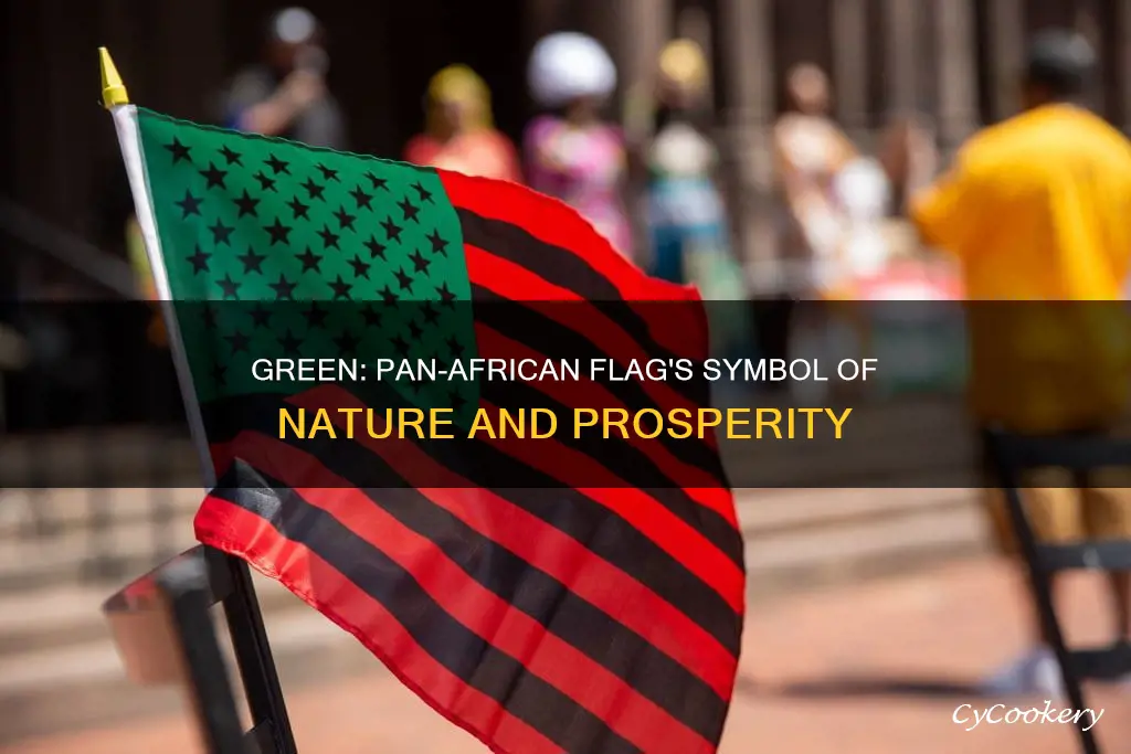 what does green symbolize in pan african flag