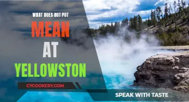 Yellowstone's Steaming Hot Pots: A Geological Wonder