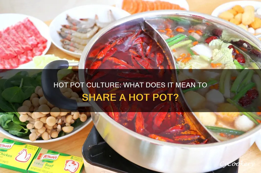 what does hot pot mean