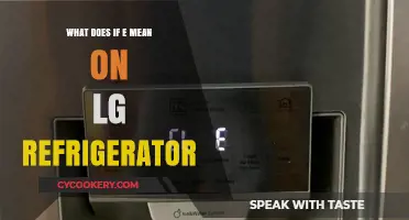 Decoding the 'IF E' Error Code on Your LG Refrigerator