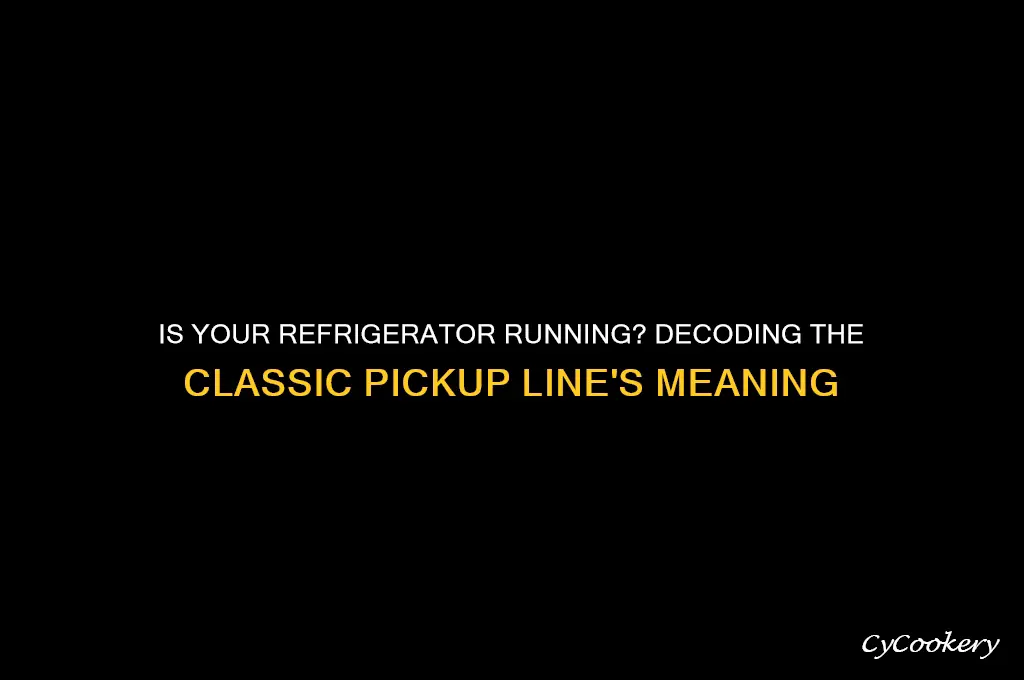 what does is your refrigerator running mean