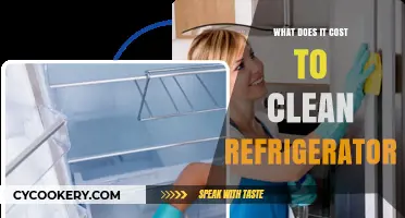 Refrigerator Cleaning Costs: Budget-Friendly Tips for a Sparkling Fridge