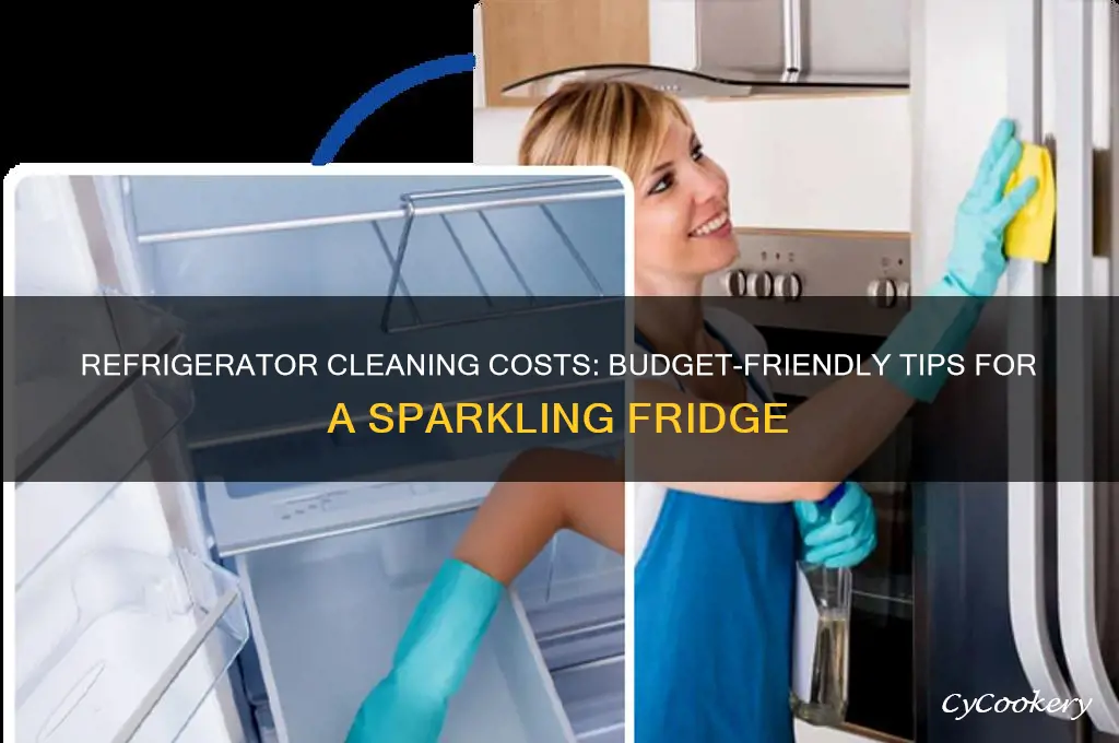what does it cost to clean refrigerator