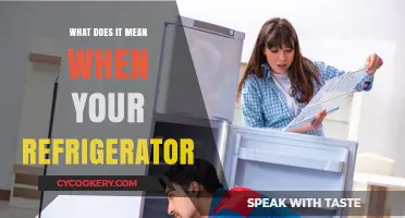 What Does It Mean When Your Refrigerator Makes Strange Noises?