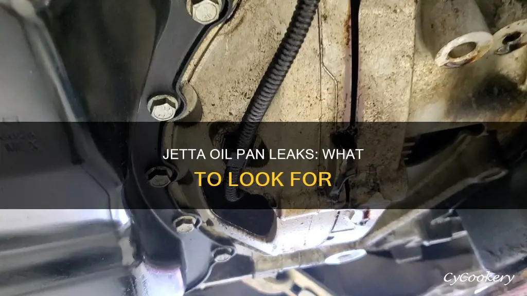 what does jetta oil pan leak look like