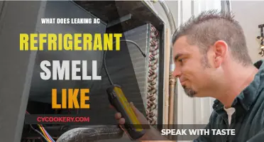 Identifying the Distinct Odor of Leaking AC Refrigerant: What to Smell For
