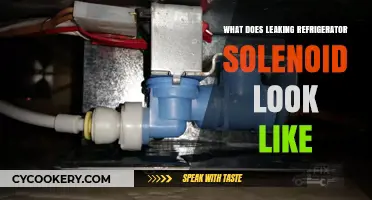 Identifying a Leaking Refrigerator Solenoid: Visual Signs and Symptoms