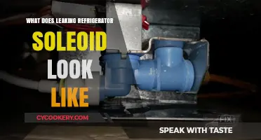 Identifying a Leaking Refrigerator Solenoid: Visual Signs and Symptoms