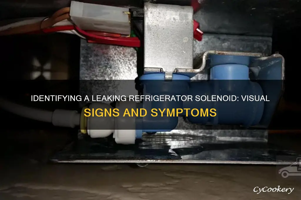 what does leaking refrigerator soleoid look like