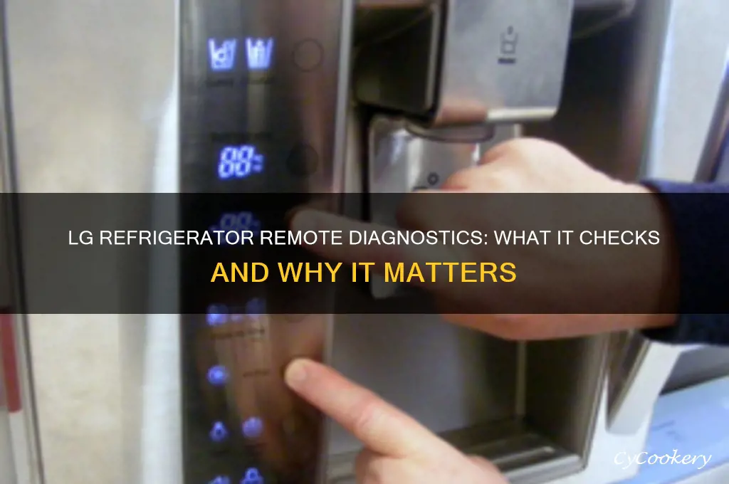 what does lg refrigerator remote diagnostics check