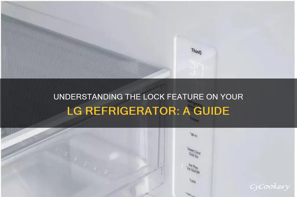 what does lock mean on lg refrigerator