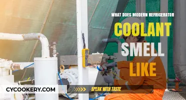 Modern Refrigerator Coolant Smell: Identifying the Aroma and Its Source