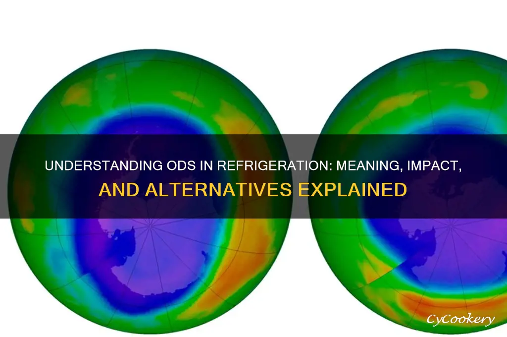 what does ods stand for in refrigeration
