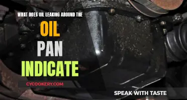 Signs and Fixes for an Oil-Leaking Pan