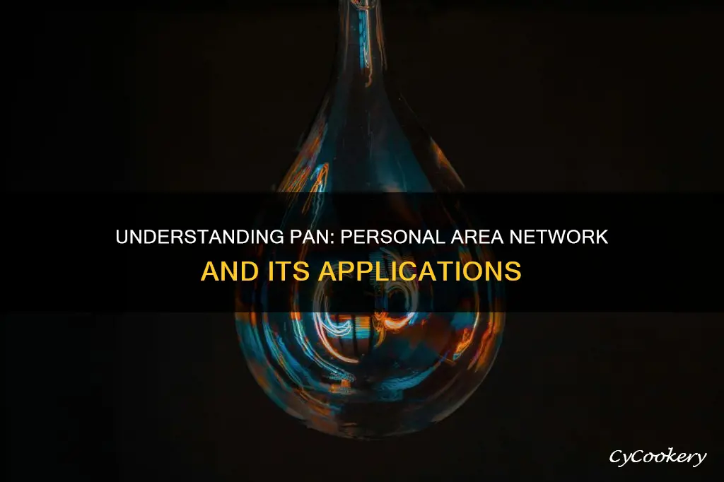 what does p a n stand for